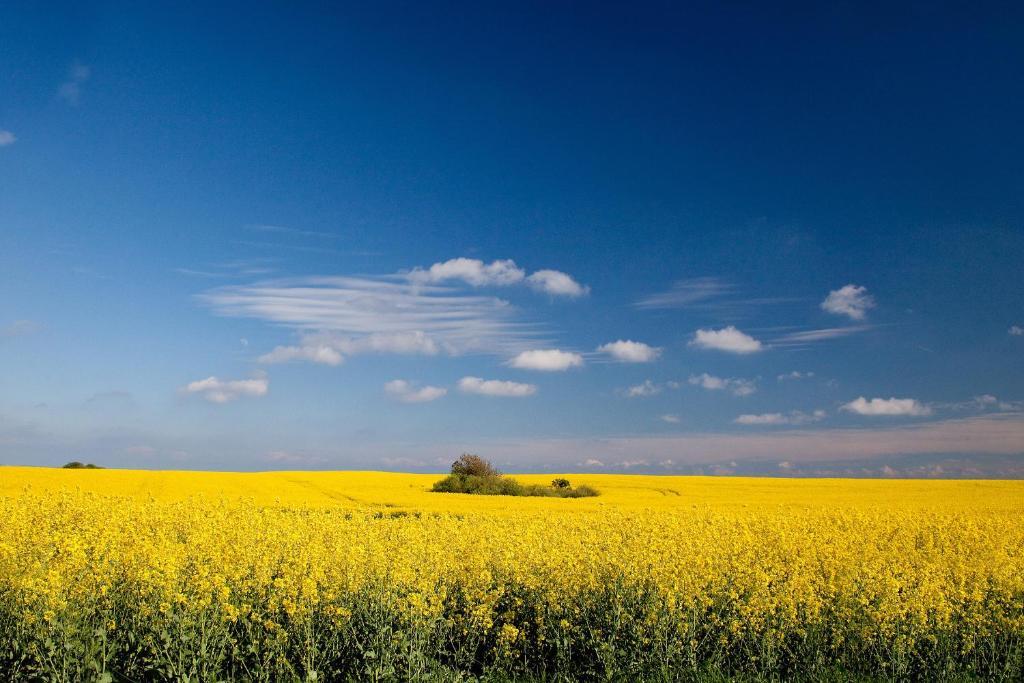 Ferienwohnungen Familie Glasner Бінц Номер фото